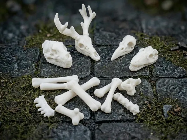 https://makerworld.bblmw.com/makerworld/model/USa204447fe32a1a/design/45bd8cb2d1bd6281.png