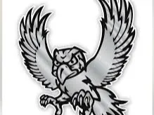 fire bird 