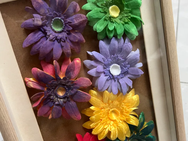 雏菊花朵鲜花