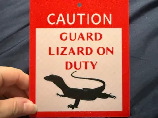 Caution Guard Lizard on Duty