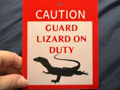 Caution Guard Lizard on Duty