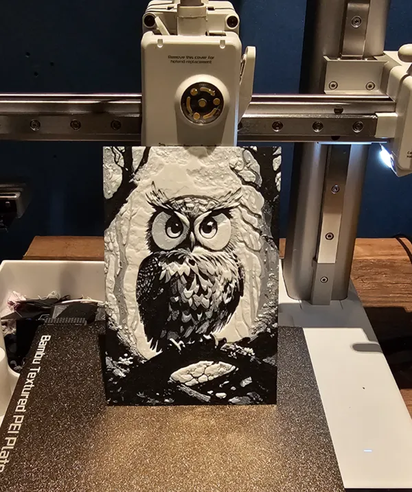 https://makerworld.bblmw.com/makerworld/model/USa20943c5654127/design/2024-06-19_a51051202d996.jpg