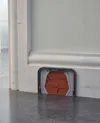 Coloured Closed Holodeck Door