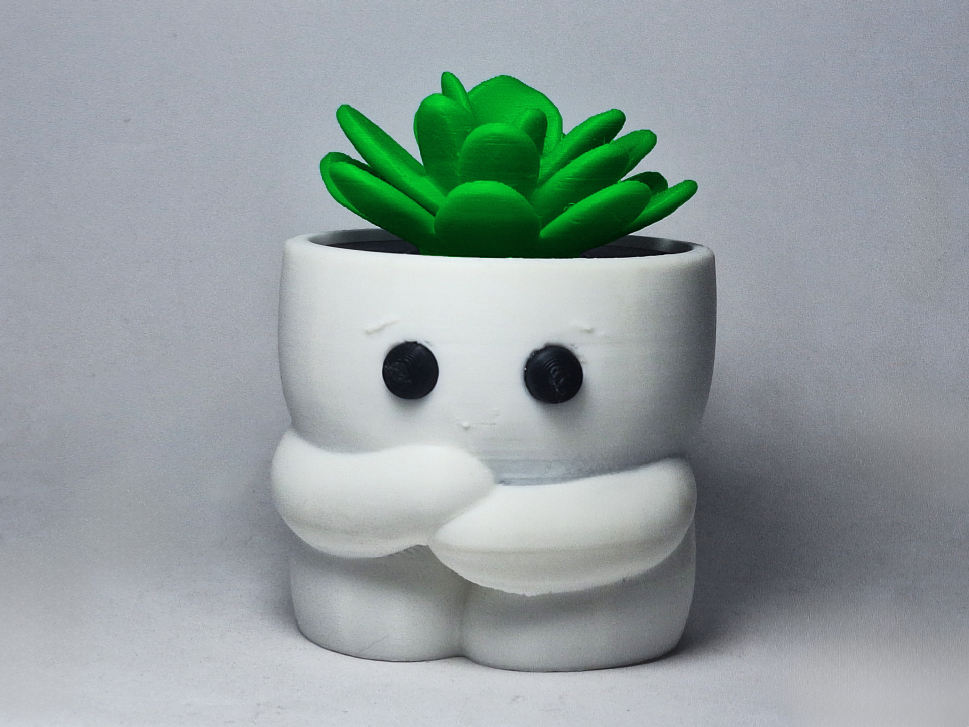 Cute Decorative Pot | NO AMS
