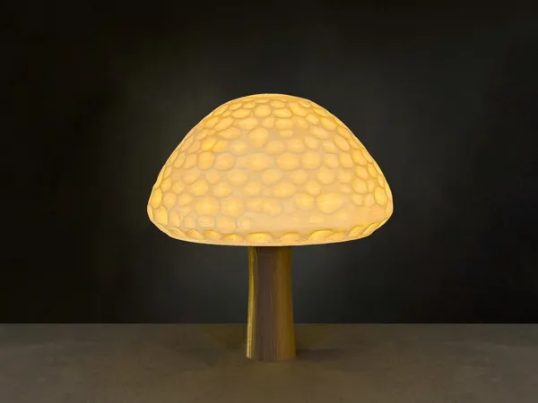 https://makerworld.bblmw.com/makerworld/model/USa214508dc0243e/design/2025-03-19_69ba275cc839d8.jpeg