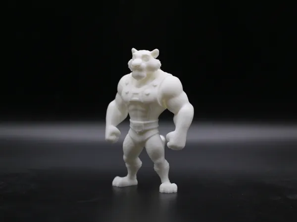 https://makerworld.bblmw.com/makerworld/model/USa2156ce5db29b7/design/9bd683d259c25da6.jpg