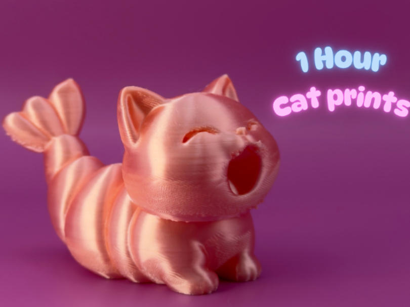 Shrimpy Kitty - 1 hour print 3D model