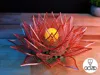 Designer's Profile (0.2mm layer)