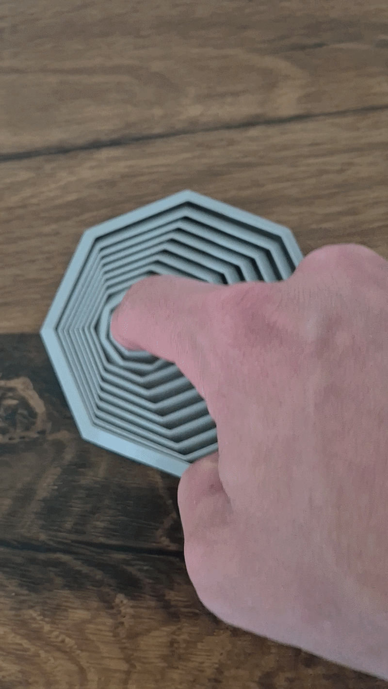 Octagon Fidget Toy