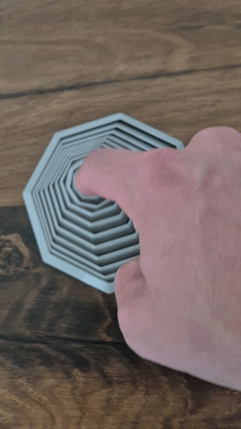 Octagon Fidget Toy