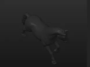 cavallo