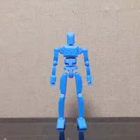 Full Print 0.24mm (P2S)