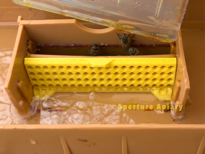 Feeder Ladder for Apimaye two-piece feeders