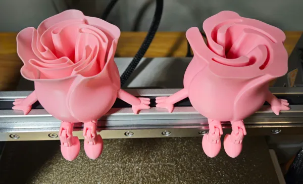 https://makerworld.bblmw.com/makerworld/model/USa224e52515522/design/2025-01-02_c8f565e9ab42a.jpg