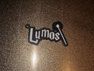 Harry potter keychain