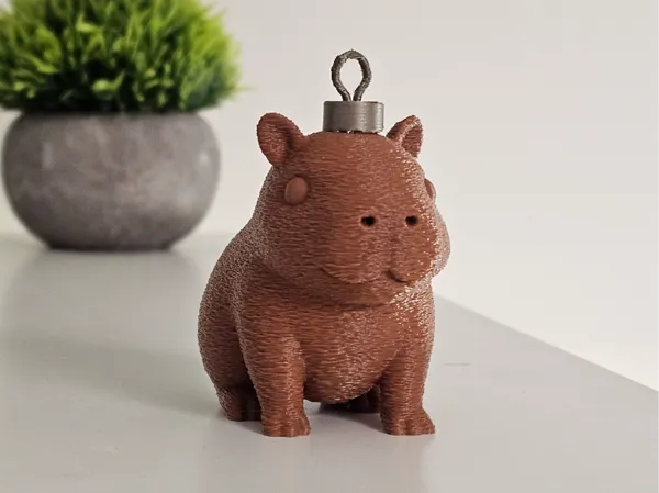https://makerworld.bblmw.com/makerworld/model/USa22a77f01b3b00/design/2025-12-21_60fee3910b3fd.jpg