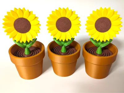 Sunflower - Springy Flower Collection