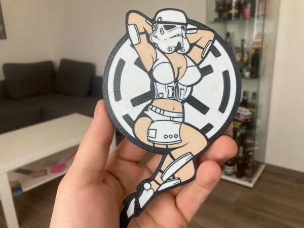 https://makerworld.bblmw.com/makerworld/model/USa22d47cf21b871/design/2024-06-04_d9c101b9f71bb.jpg