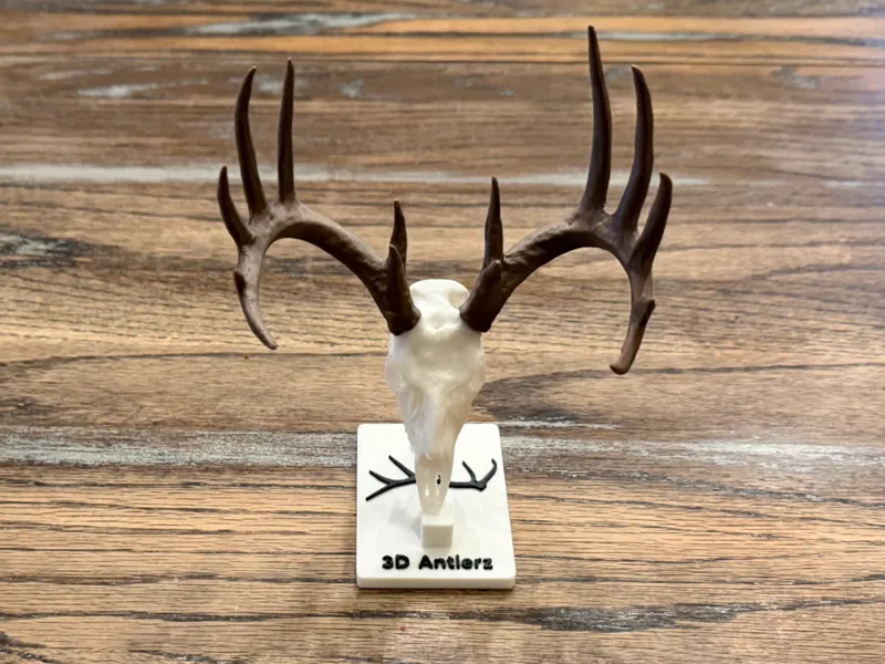 14 Point Monster Whitetail Deer