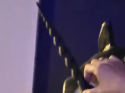 unicorn horn