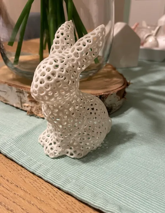 https://makerworld.bblmw.com/makerworld/model/USa23a969a55d86d/design/2024-03-18_ffe24711e6204.png