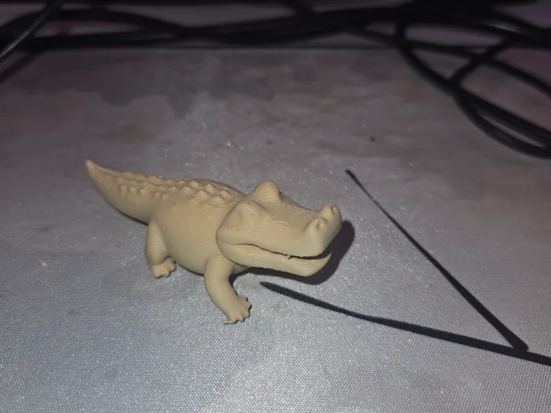 Small cute croco