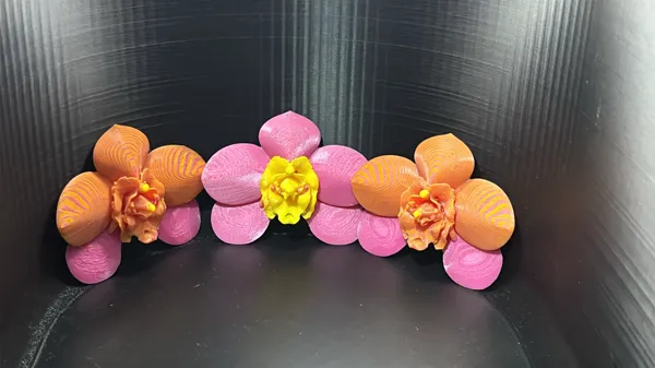 https://makerworld.bblmw.com/makerworld/model/USa23ebd19788ca3/design/2024-12-13_7b3003fa4d7e3.jpg