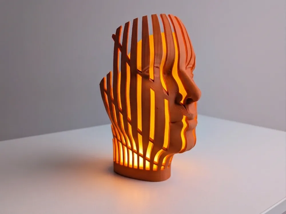 Accesorio para impresora 3D: Lumina Contour. Referencia del modelo original.
