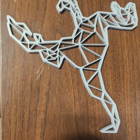 raptor wall