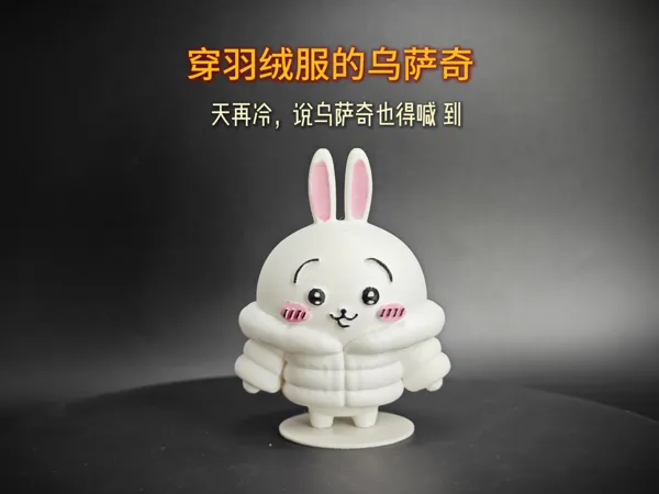 https://makerworld.bblmw.com/makerworld/model/USa2477a8f82cfa2/design/2026-01-05_cf180cb28957b8.jpg