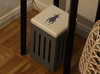 Feeding-Cricket Box