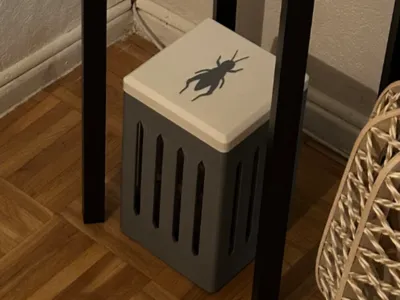 Feeding-Cricket Box
