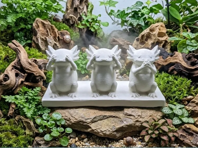 The Three Wise Axolotls