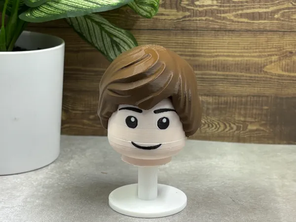 https://makerworld.bblmw.com/makerworld/model/USa2501048d5fe69/design/80b3074345784d82.jpeg
