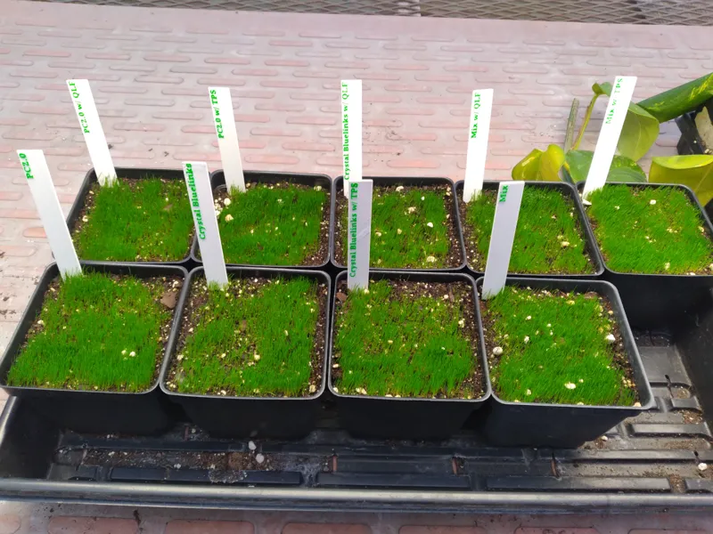 Simple Plant Marker