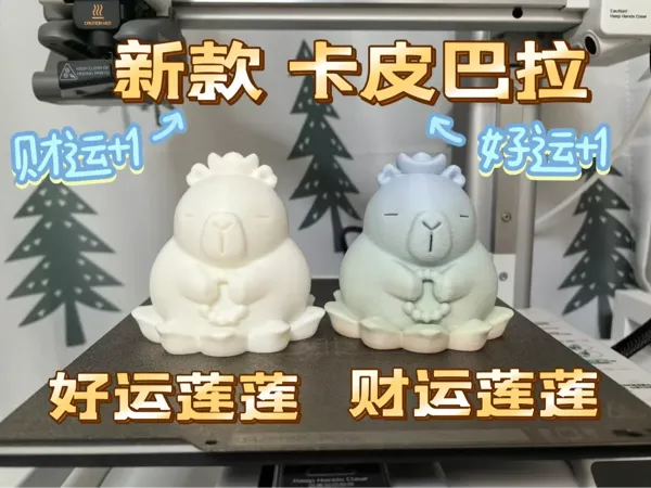 https://makerworld.bblmw.com/makerworld/model/USa259f9e69182b/design/2baf6425-f4eb-4907-834b-3a3557248b17.webp