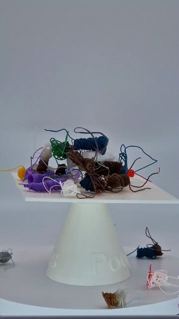 https://makerworld.bblmw.com/makerworld/model/USa25bd52d237be9/design/2024-04-06_ce13cf4c00dee.gif
