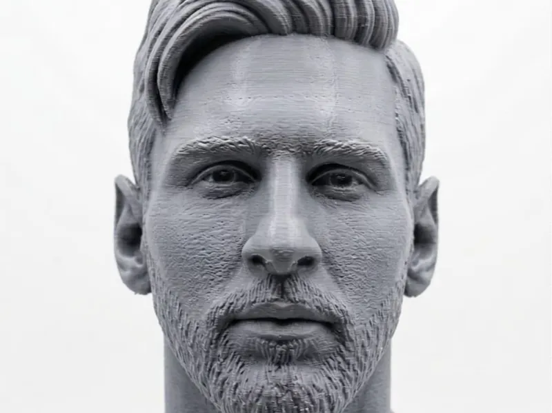 mesirvee2