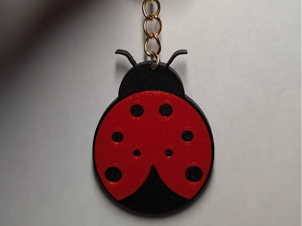 https://makerworld.bblmw.com/makerworld/model/USa264b1c04f91e0/design/2025-03-11_d9abda6479c2b.jpg