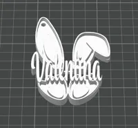 V names