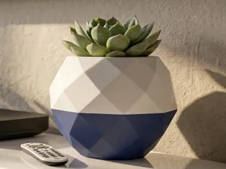 Vaso/Contenitore