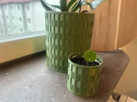 Pots de plantes inspirés du tressage — photo 2