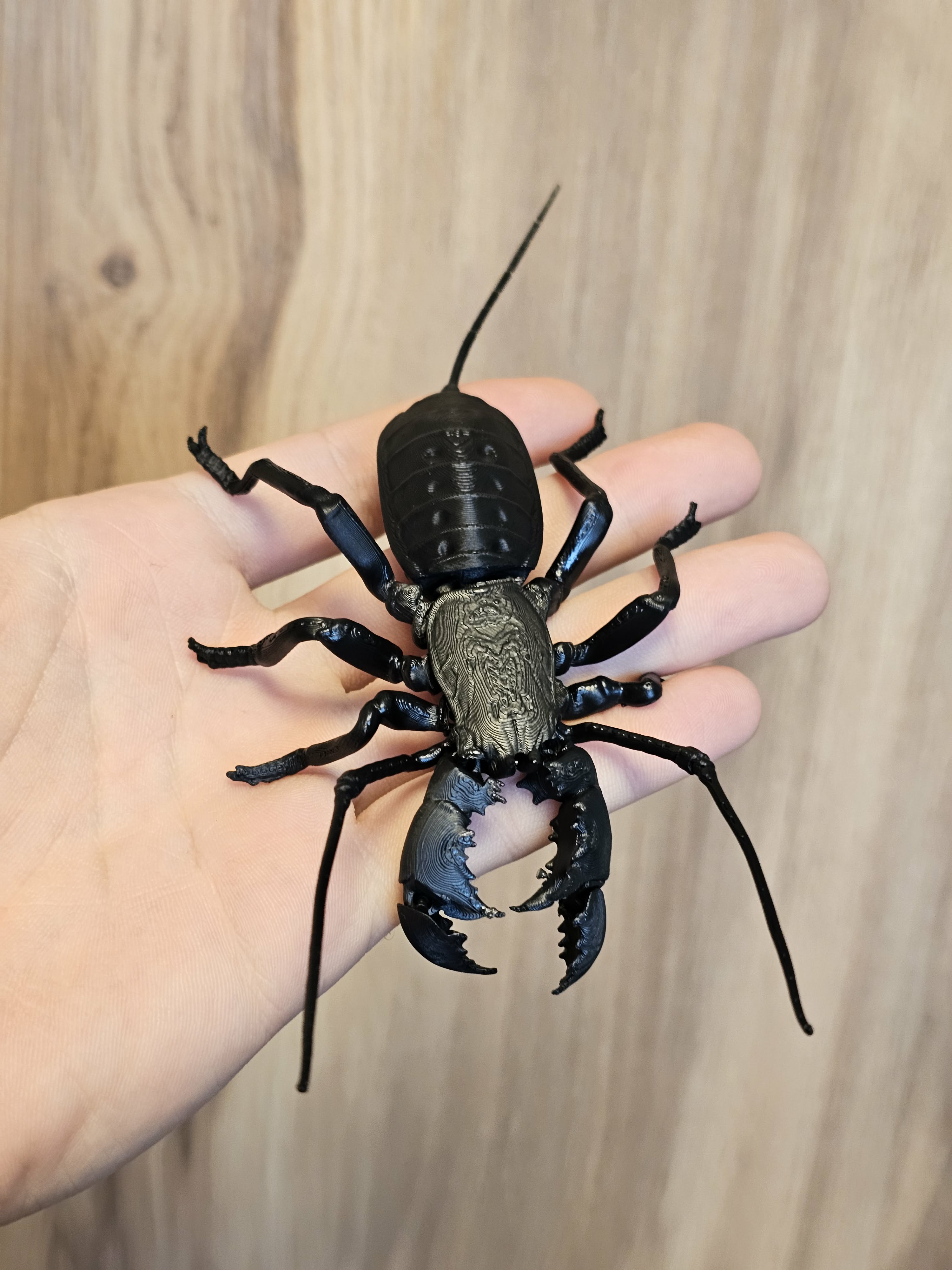 House Invaders - Giant Whip Scorpion - 1
