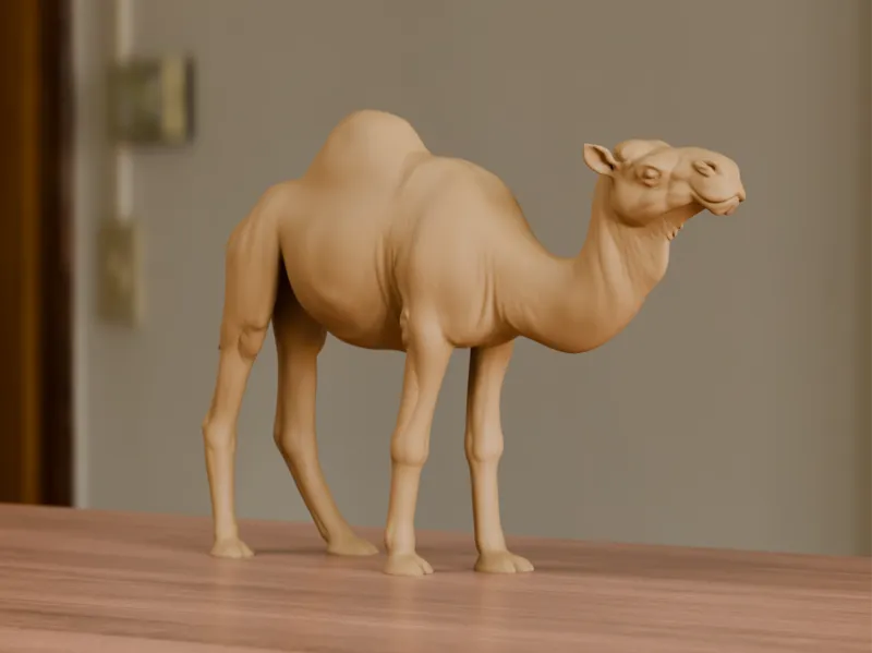 Camel