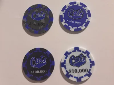 Blank Poker Chip