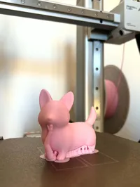 0.16mm layer, 2 walls, 15% infill