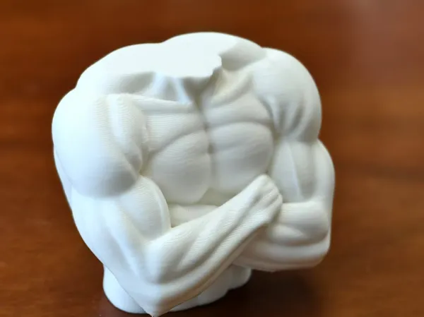 https://makerworld.bblmw.com/makerworld/model/USa285bce19ed2bd/design/2025-06-06_1f205eb16d958.jpg