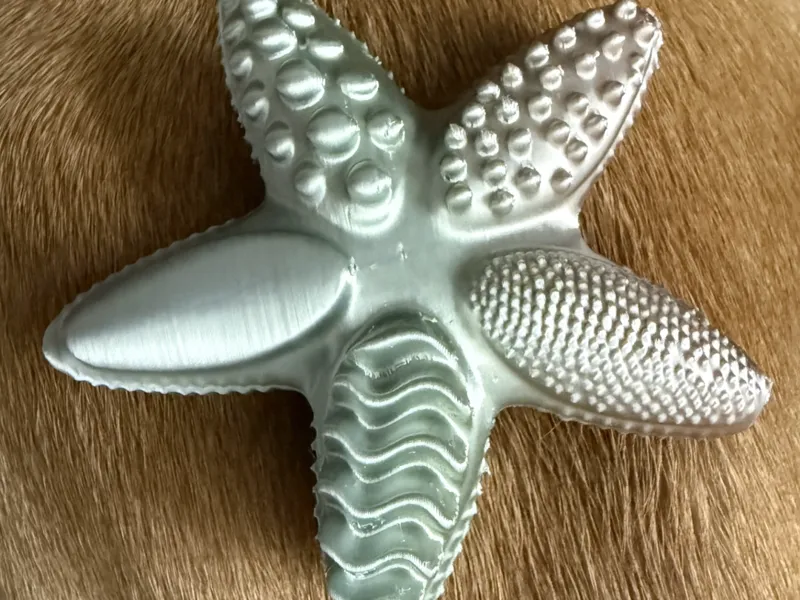 Sensory Starfish