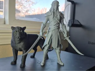 Drizzt and Guenhwyvar