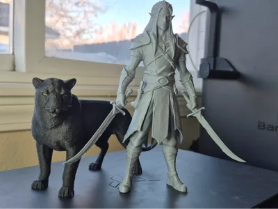 Drizzt and Guenhwyvar
